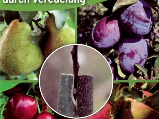 Unsere Broschüren und Fachbücher