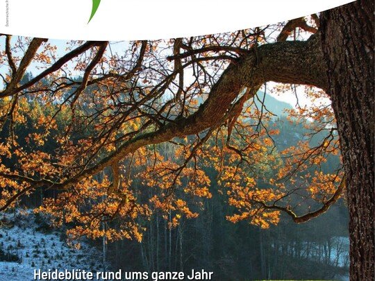 Grünes Tirol
