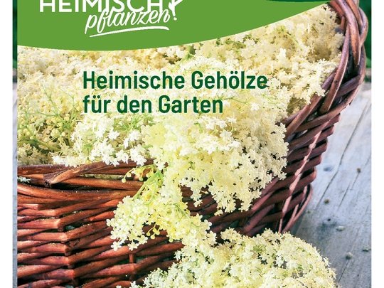"Heimisch pflanzen" für Artenvielfalt in unseren Gärten