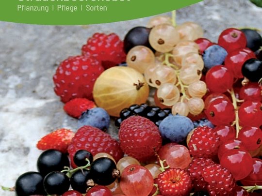 Unsere Broschüren und Fachbücher