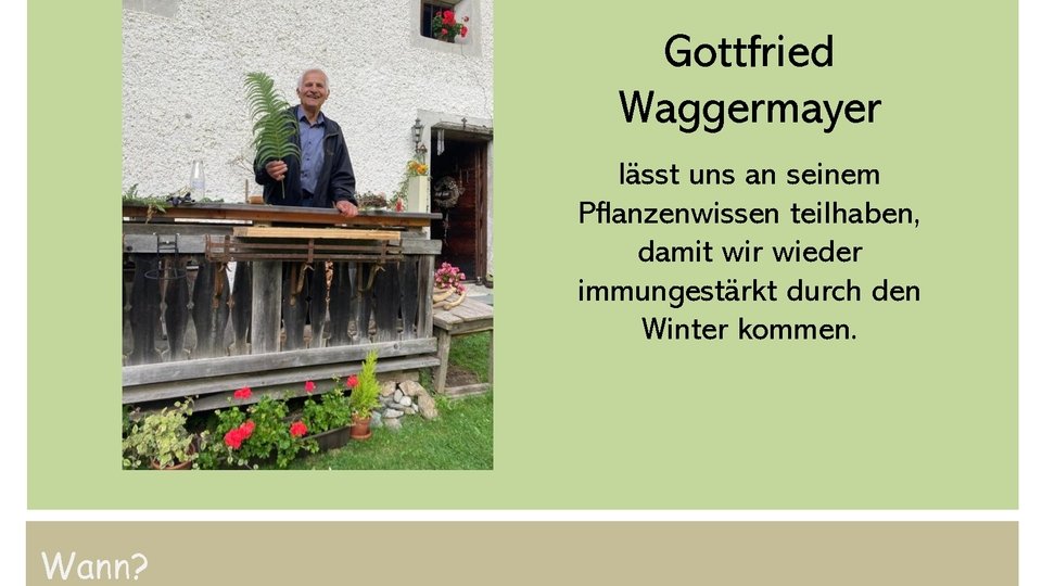 Die Heilkraft der Natur im Herbst