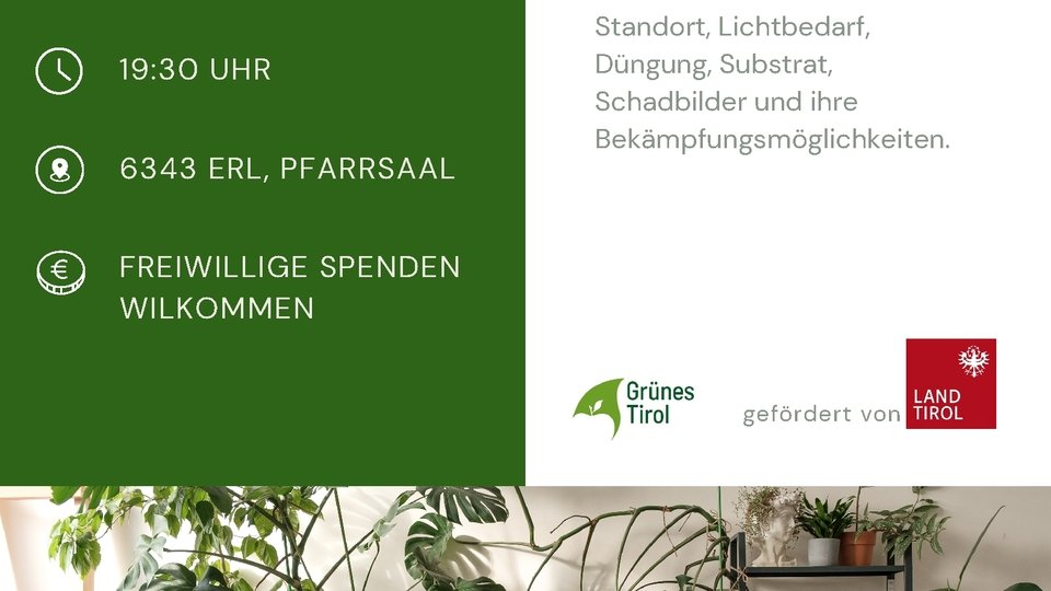 Vortrag: "Pflege von Zimmerpflanzen"