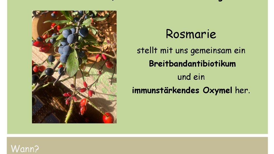 Immungestärkt durch den Winter