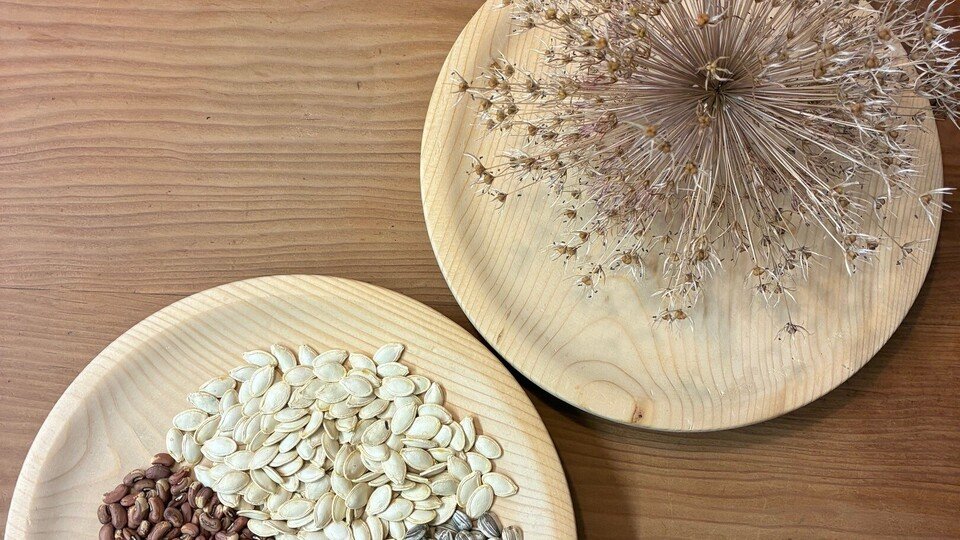 "Gemüsesorten des Alpenraums - selbst anbauen und Saatgut gewinnen"