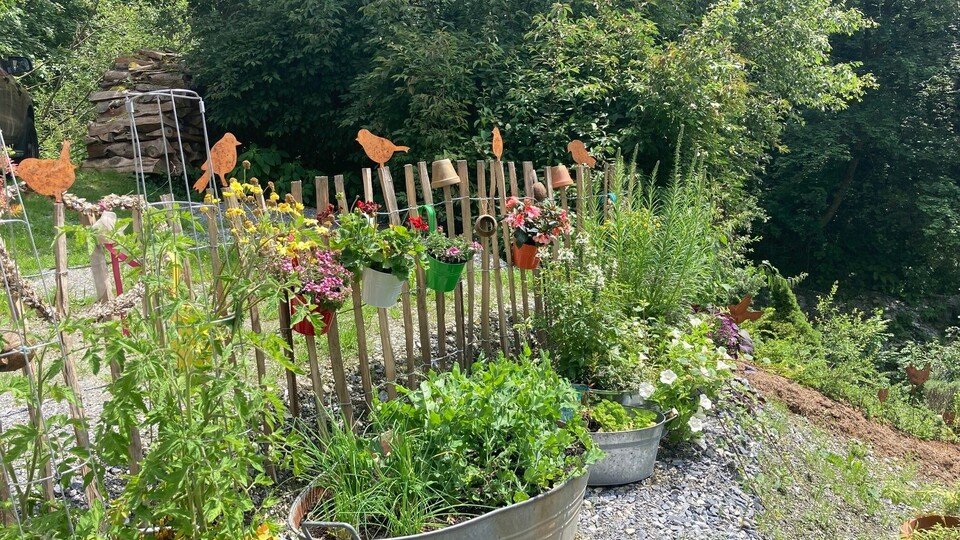 "Naturgeschichten" mit Silvia Hirsch