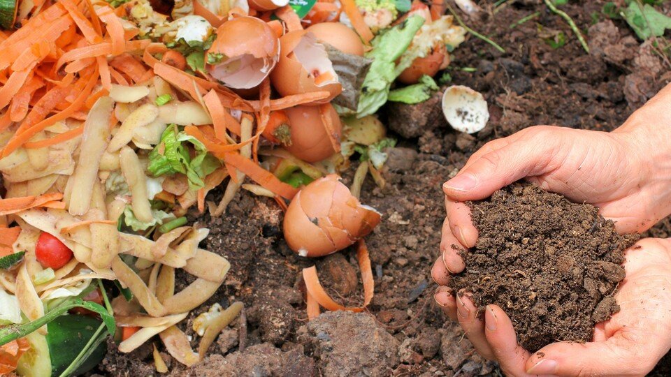 Regenwurmdünger selbst gemacht - Vortrag