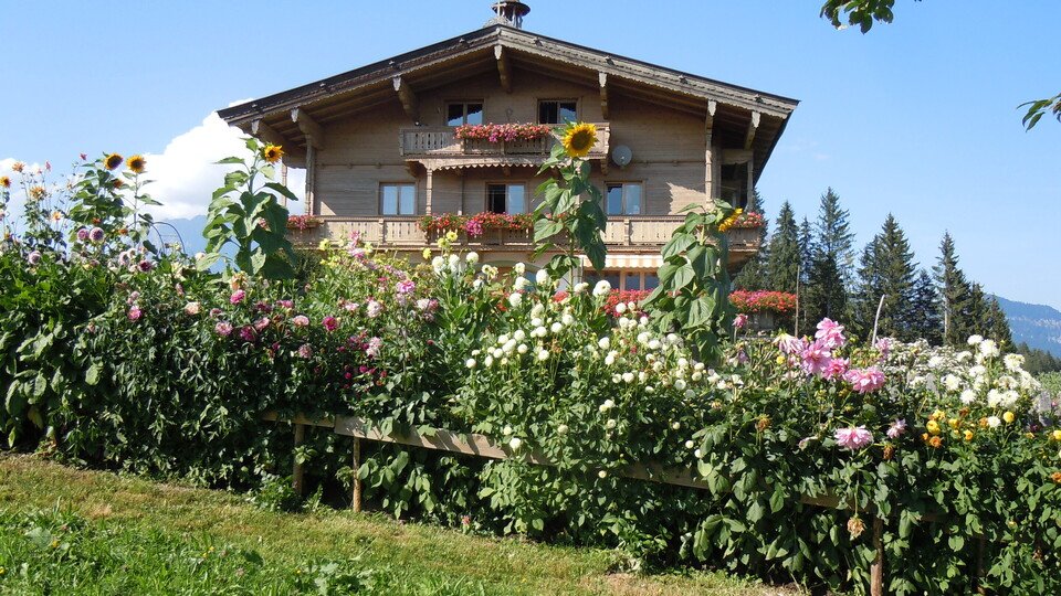 Gartlerstammtisch - Übern Zaun gschaut
