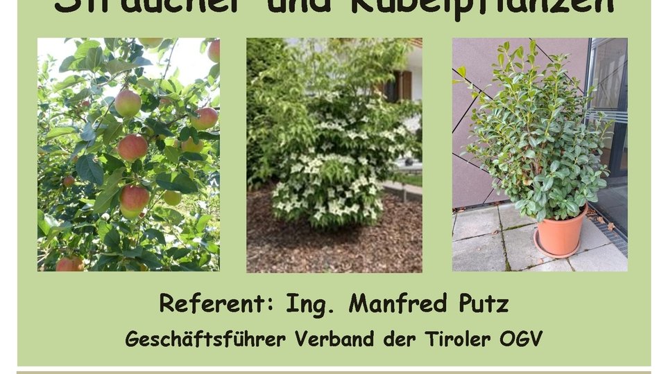 Schnittkurs für Bäume, Sträucher und Kübelpflanzen