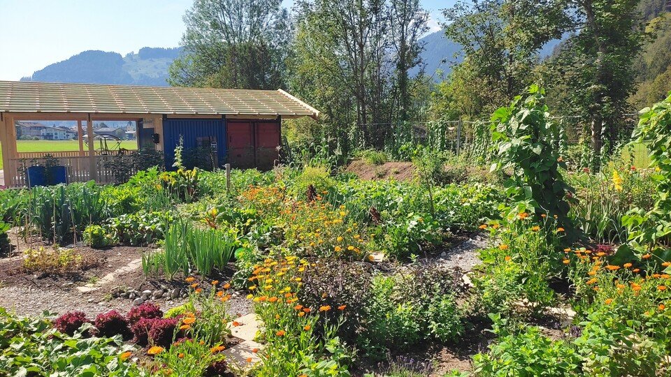 Offener Gemeinschaftsgarten