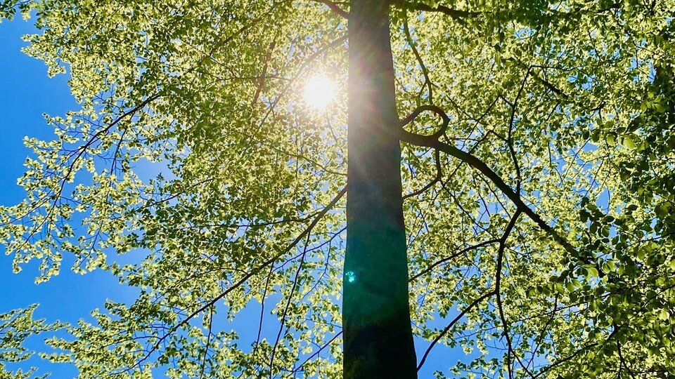 Klimawandel betrifft ALLE