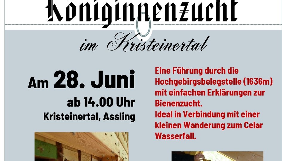Königinnenzucht um Kristeinertal