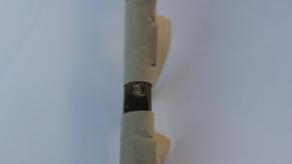 Veredelungskurs - Praxiskurs