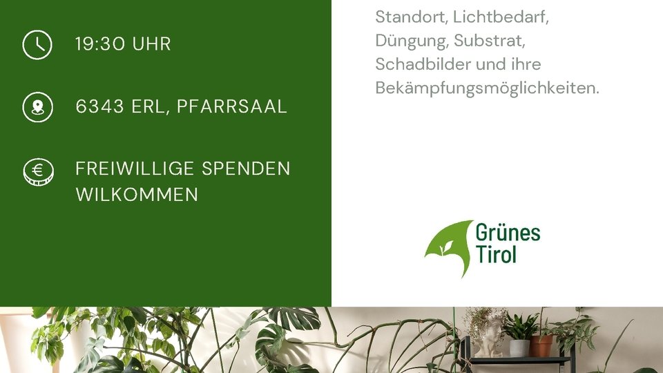 Vortrag: "Pflege von Zimmerpflanzen"