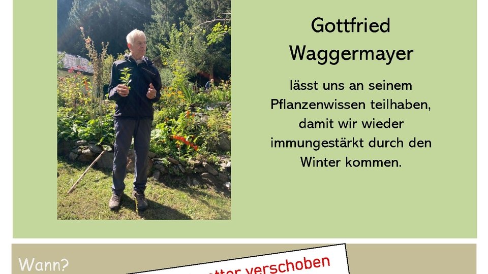Die Heilkraft der Natur im Herbst