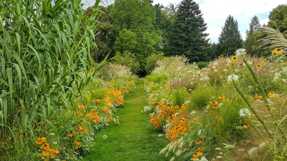 Permakultur für den Hausgarten - Vortrag