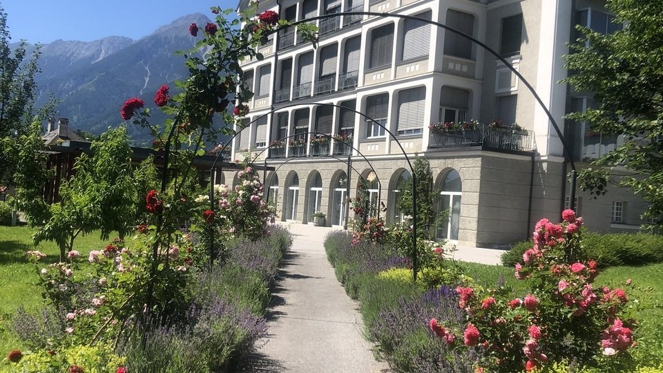 „Ab in den Garten“ Gartentipps von Gartenexperten rund um den Hausgarten – Gartentag im Kloster Hall
