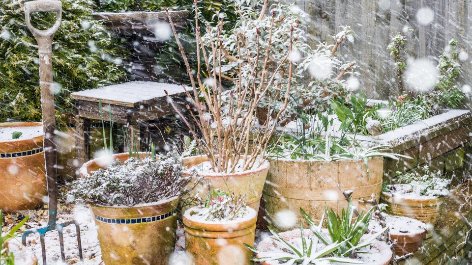 Garten aufräumen…oder doch nur fit für den Winter zu machen?
