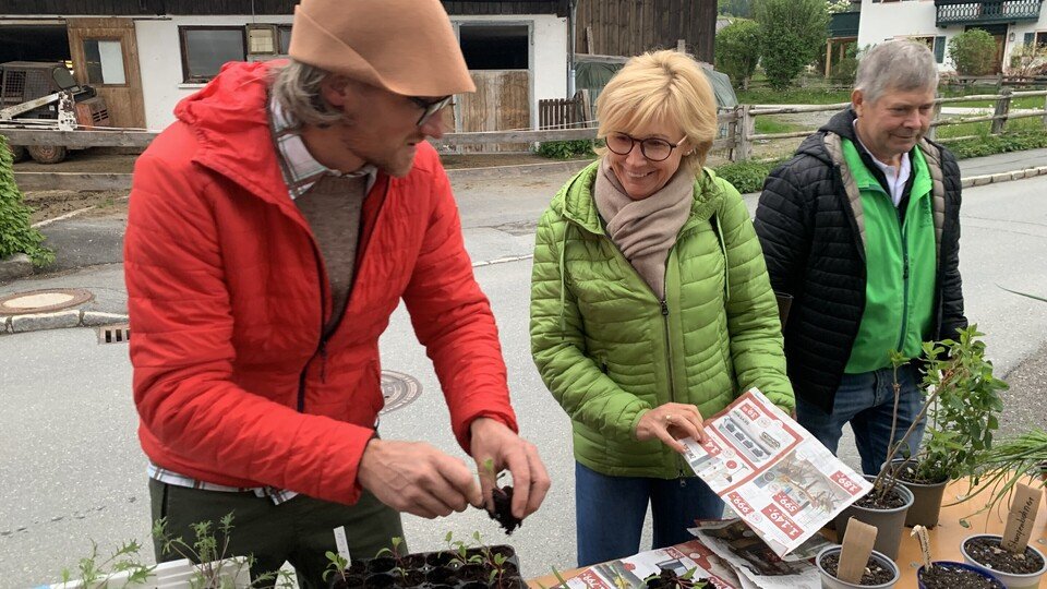 Stammtisch: Vortrag mit Christian Adlmeier (Hanf) & Pflanztausch