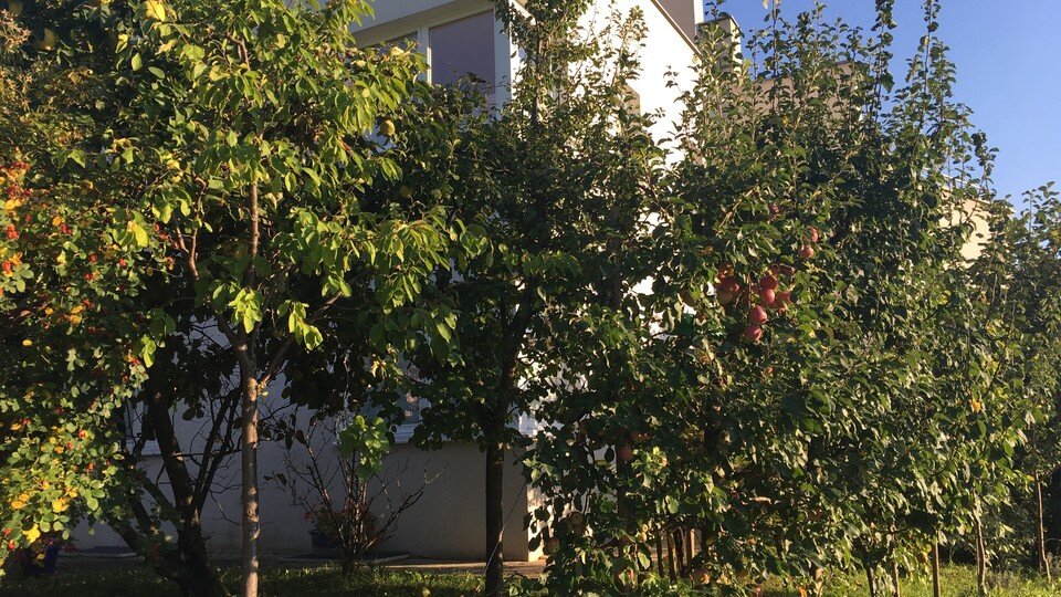 Grundkurs Spindelschnittkurs in Rietz