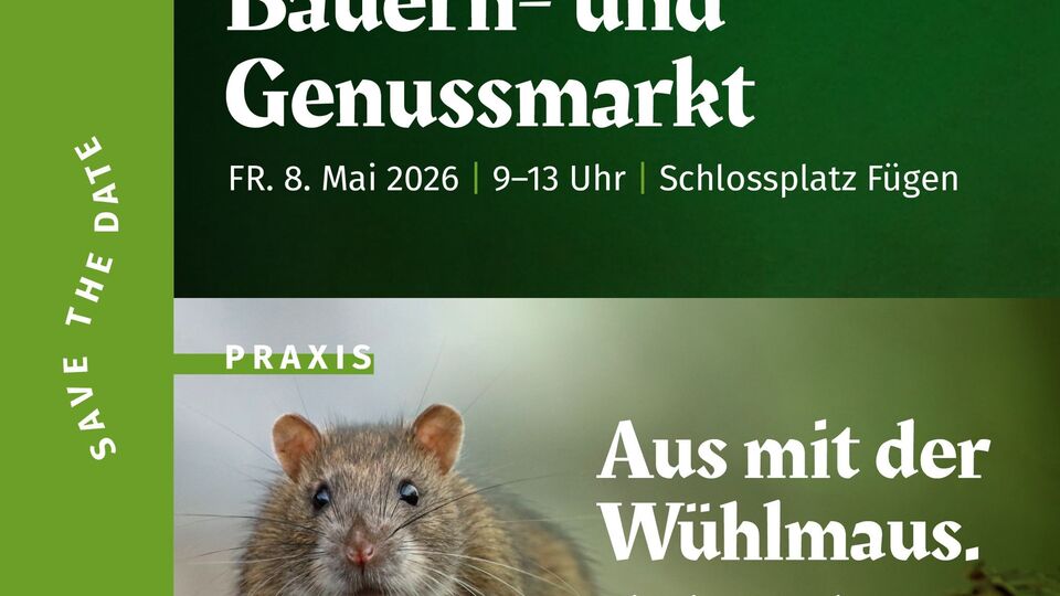 Aus mit der Wühlmaus