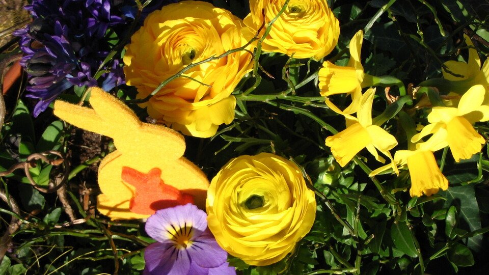 Oster-Deko aus der Natur