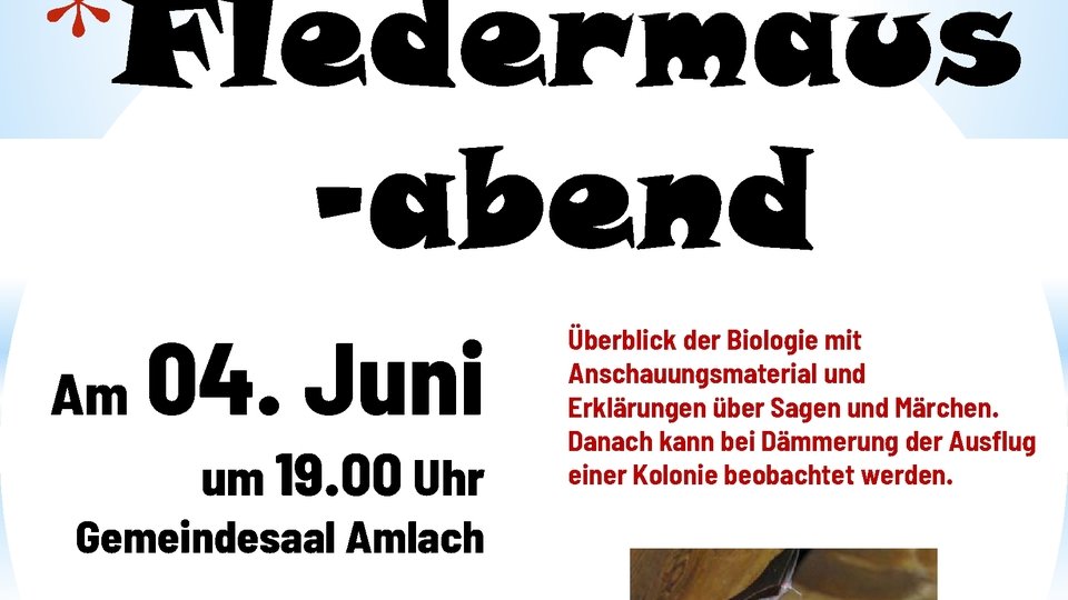 Fledermausabend