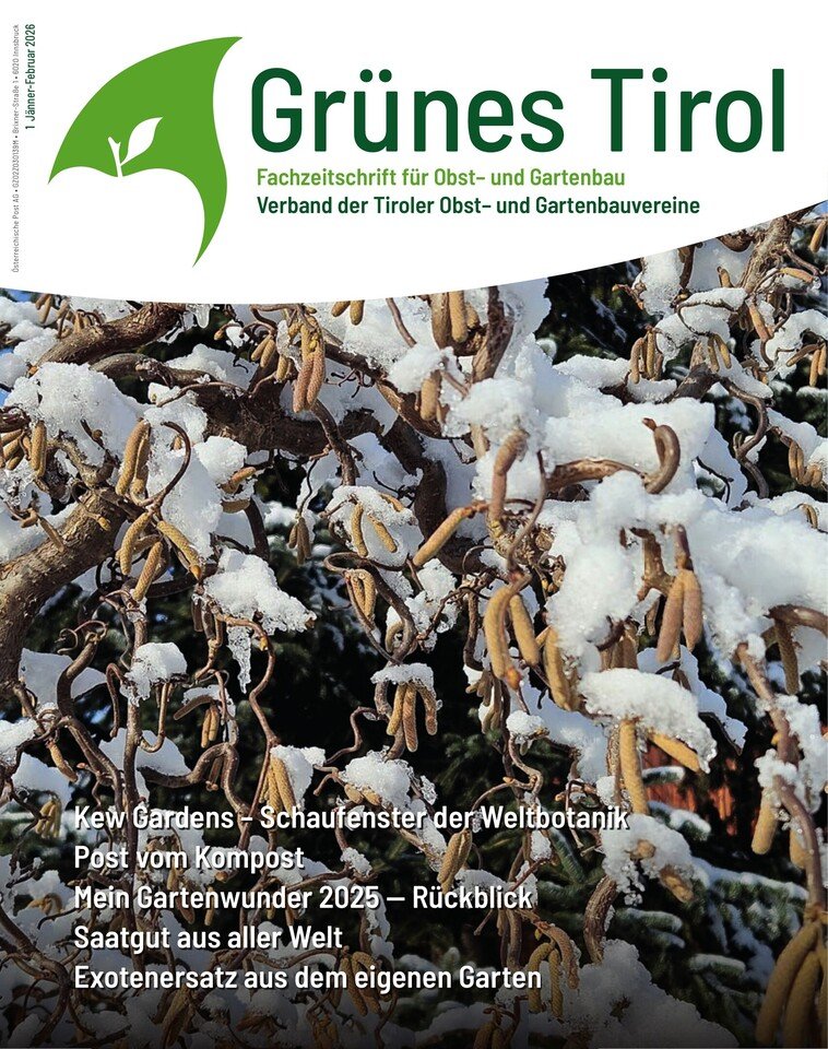 Jänner - Februar 2026